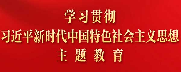 中共中央办公厅关于巩固拓展学习贯彻习近平新时代中国特色社会主义思想主题教育成果的意见